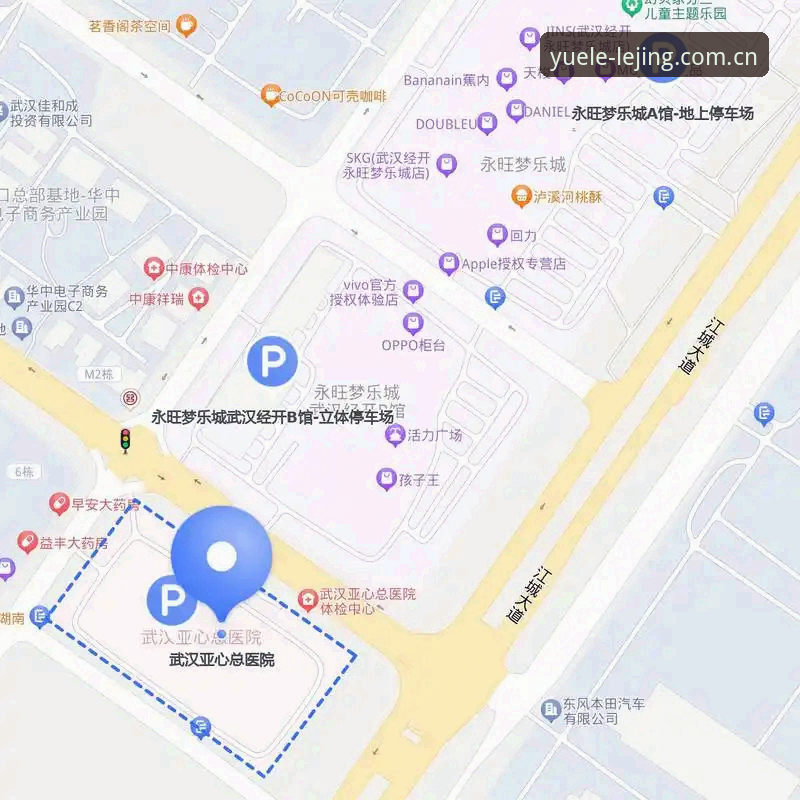 乐竞移动端下载必备 乐竞体育平台移动端下载必备完整指南:从注册到流畅体验全解析